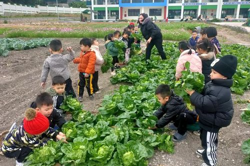 Huyện đảo ở Quảng Ninh xây dựng trường mầm non thân thiện
