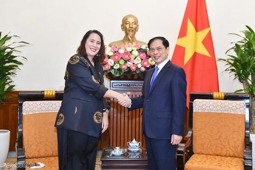 Bộ trưởng Ngoại giao Bùi Thanh Sơn tiếp Đại sứ New Zealand Tredene Dobson chào từ biệt