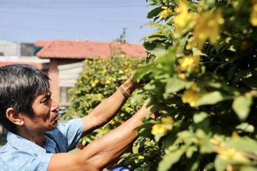 Mua hoa ế cho dân vào chiều 30 Tết