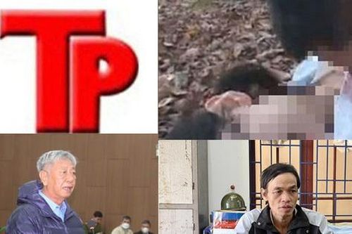 Bản tin Hình sự: Đi nhậu về khuya, bé gái bị ba trai làng khống chế để giở trò đốn mạt