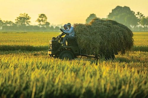 Tín hiệu tích cực cho kinh tế Việt Nam năm 2024