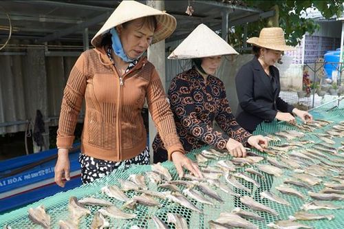 Tất bật chuẩn bị thủy, hải sản khô phục vụ thị trường Tết
