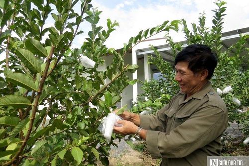 Người thương binh làm giàu trên vùng đất khó