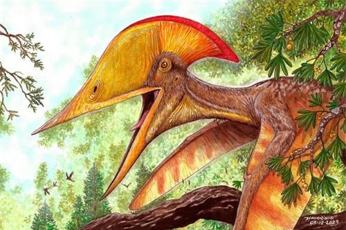 Xuất hiện loài 'quái vật bay' chưa từng thấy ở Liêu Ninh - Trung Quốc