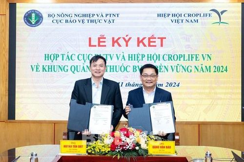 Sử dụng thuốc bảo vệ thực vật khoa học, hài hòa với tiêu chuẩn quốc tế
