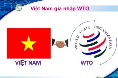Ngày này năm xưa 11/1: Việt Nam trở thành thành viên chính thức của WTO