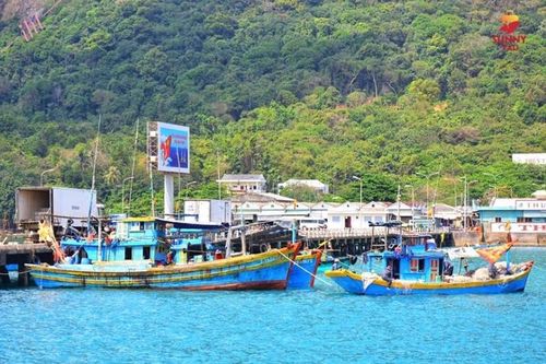 Khai trương tuyến tàu cao tốc TP.HCM - Côn Đảo vào dịp Tết Giáp Thìn