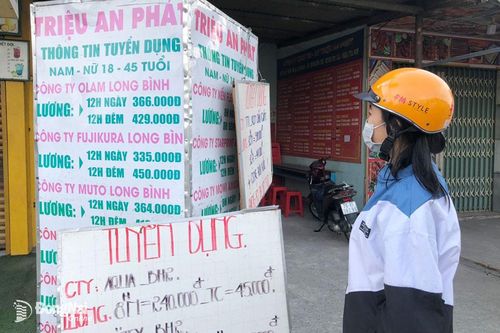 Sôi động thị trường lao động thời vụ dịp Tết