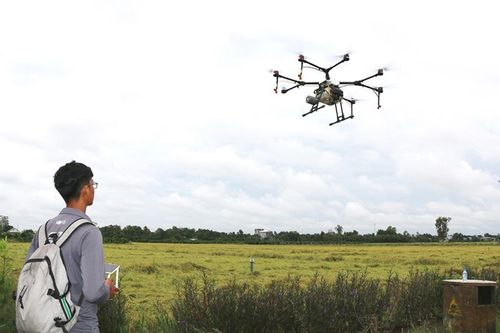 Thúc đẩy phát triển và sử dụng thuốc bảo vệ thực vật sinh học