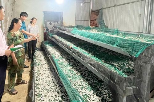 Tín dụng chính sách tạo việc làm cho người dân nông thôn
