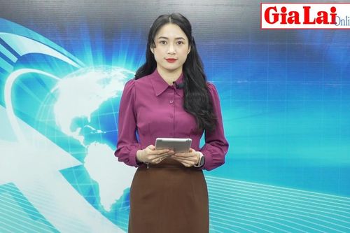 Gia Lai 24h: UBND tỉnh chỉ đạo tăng cường quản lý thuế đối với hộ kinh doanh