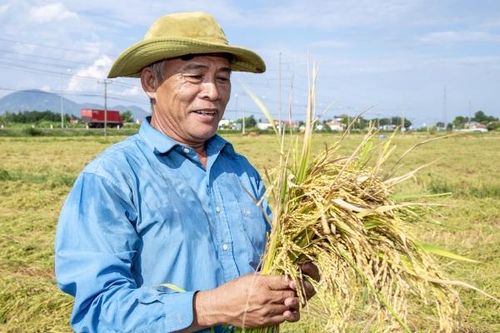 Ngành Nông nghiệp tỉnh Khánh Hòa: Những bước tiến vững chắc