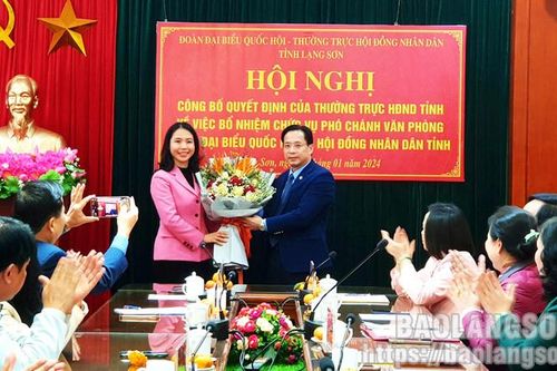 Công bố quyết định bổ nhiệm Phó Chánh Văn phòng Đoàn ĐBQH&HĐND tỉnh