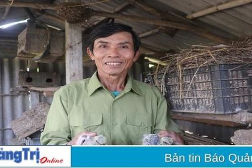 Thu nhập cao từ nuôi bồ câu