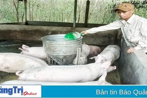 Đảm bảo nguồn thịt gia súc, gia cầm cung ứng cho thị trường Tết