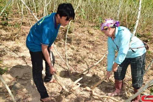Đổi thay ở bản Huổi Ái