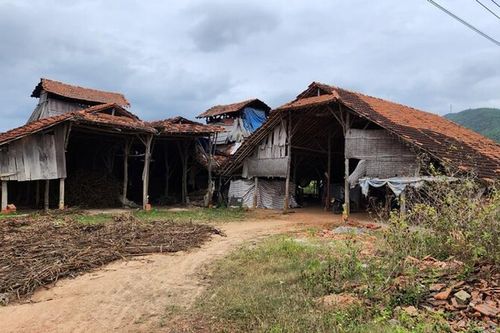 Tây Sơn (Bình Định): Chấm dứt hoàn toàn các hoạt động của lò gạch, ngói thủ công