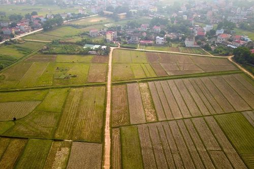 Hà Nội lấy ý kiến quy hoạch trường đua ngựa ở Sóc Sơn