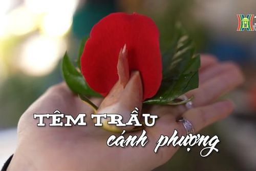 Têm trầu cánh phượng | Nhịp sống Hà Nội | 11/01/2024