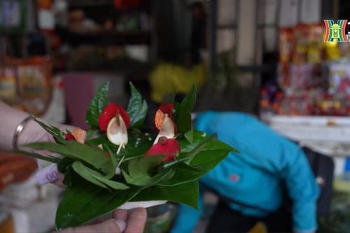 Trầu têm cánh phượng, nét đẹp trong văn hóa trầu cau