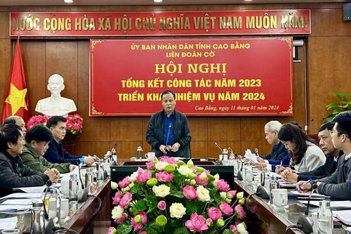 Liên đoàn Cờ tỉnh triển khai nhiệm vụ năm 2024