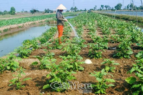 Hướng đi đúng để hoàn thiện các tiêu chí