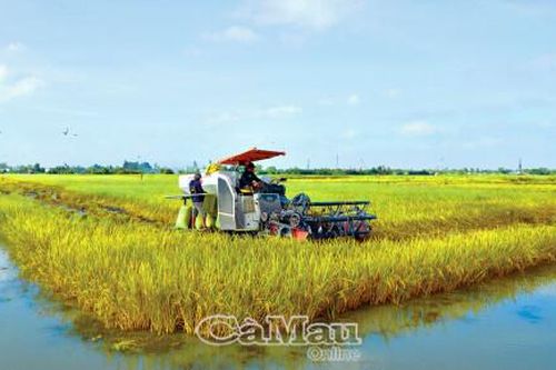Nông nghiệp hữu cơ - Hướng đi bền vững