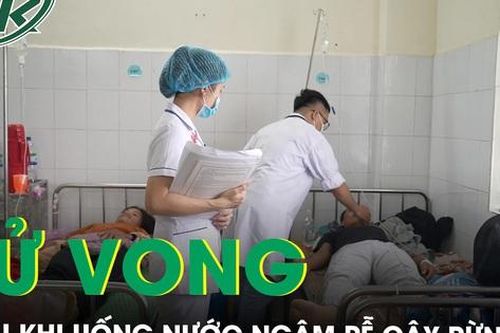 Quảng Ngãi: 1 người tử vong, 3 người cấp cứu sau khi uống rễ cây rừng