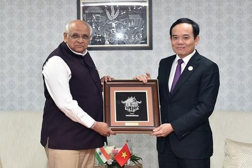Phó Thủ tướng Trần Lưu Quang tiếp Thủ hiến bang Gujarat