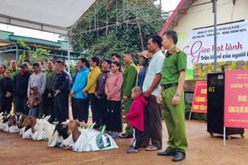 Gieo hạt lành trên lối về của người lầm lỗi