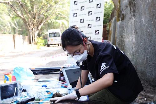 Đưa 3 con gấu ở TPHCM về Thừa Thiên Huế