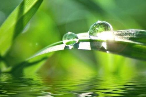 Sương còn đọng vai anh – Tình yêu đọng mãi trong đời!