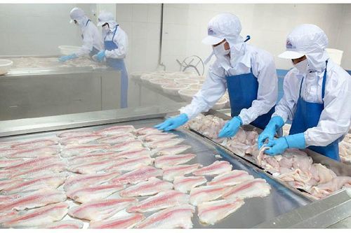 Thủy sản MeKong (AAM) thua lỗ Quý 4 kéo lùi lợi nhuận cả năm giảm 96%