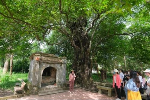 Thừa Thiên Huế muốn nâng hạng làng cổ Phước Tích thành di tích quốc gia đặc biệt