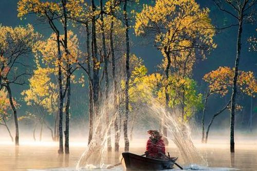 Chốn tiên cảnh hiện ra ở Đà Lạt