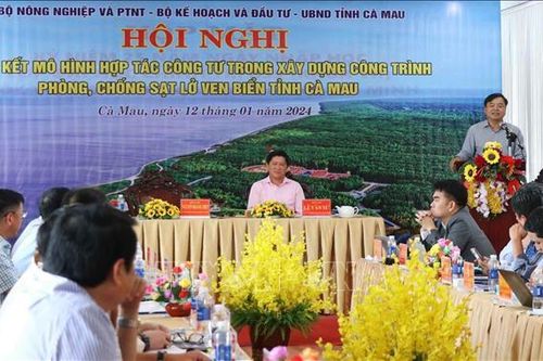 Khẩn trương hoàn thiện đề án phòng, chống sạt lở bờ biển Cà Mau