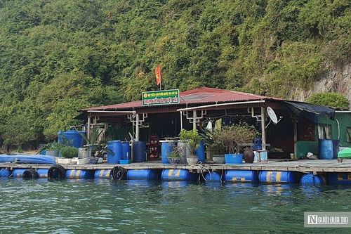 Hải Phòng: Các trạm kiểm lâm nổi độc đáo tại Vườn quốc gia Cát Bà
