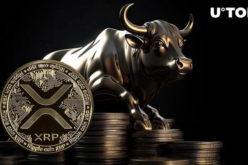 XRP cuối cùng cũng gia nhập thị trường bò