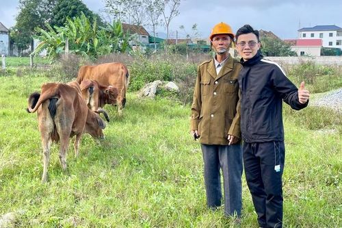 Vợ chồng cụ ông nghèo khó được cộng đồng mạng giúp tìm lại 3 con bò thất lạc