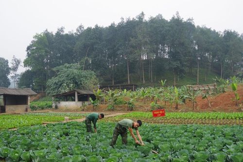 Triển khai công tác hậu cần năm 2024
