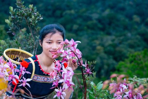 Khám phá đồi hoa địa lan tại làng Vi Rơ Ngheo