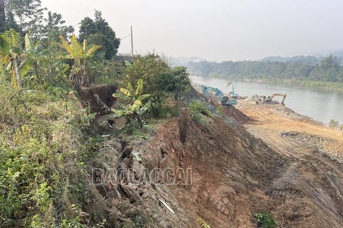 Đẩy nhanh thi công kè khắc phục sạt lở đường XT20 phường Xuân Tăng