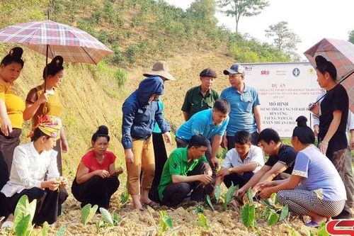 Sản xuất nông nghiệp thích ứng với biến đổi khí hậu