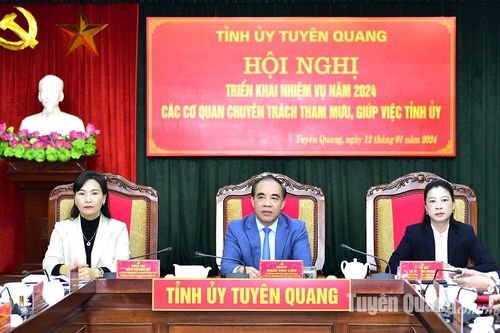 Tiếp tục đổi mới nâng cao chất lượng hoạt động các cơ quan chuyên trách tham mưu, giúp việc Tỉnh ủy