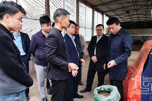 Đại Từ: Thêm 1 HTX nông nghiệp được thành lập
