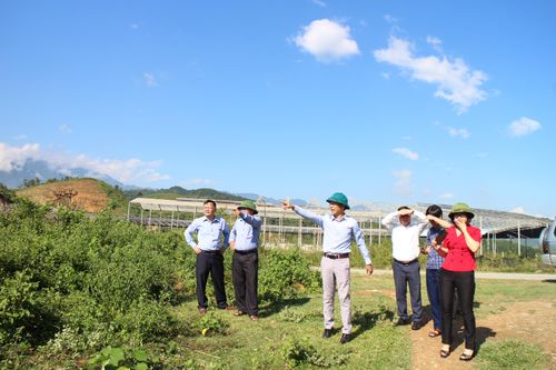 Rõ nguyên nhân, dứt điểm một số kiến nghị của cử tri