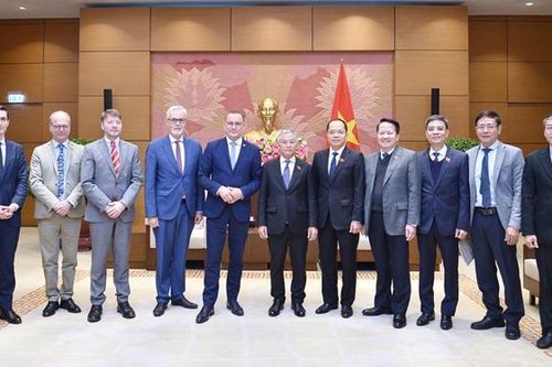 Phó Chủ nhiệm Ủy ban Đối ngoại Đôn Tuấn Phong tiếp Đoàn nghị sĩ Cộng hòa Liên bang Đức