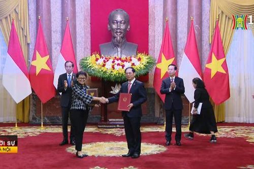 Chủ tịch nước hội đàm với Tổng thống Indonesia Joko Widodo