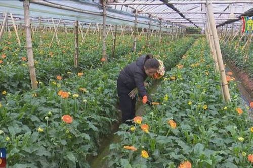Nhà nông không còn lo thời tiết