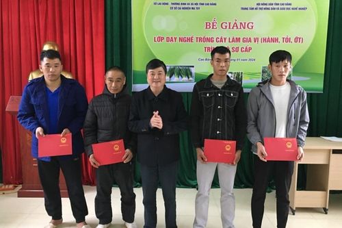 Bế giảng lớp dạy nghề trồng cây gia vị